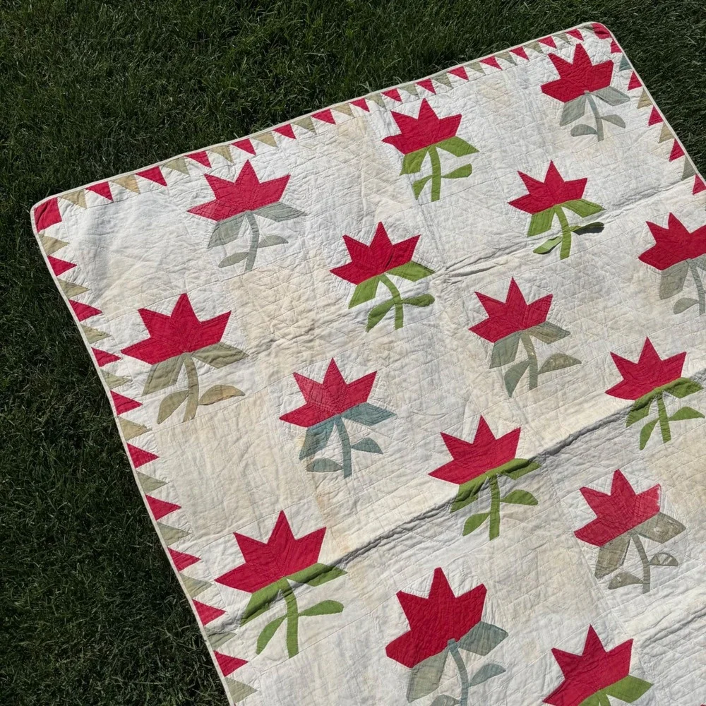 Antique Handmade Floral Applique Quilt Green White Sawtooth Border 53x44 50/60's
